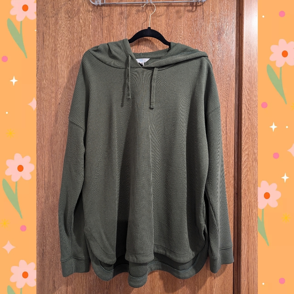 Sage Green Long Hoodie Women's XL